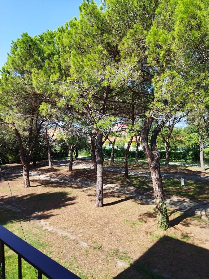 Appartamento Doppi Bagni Sei Posti Letto Viverone Buitenkant foto
