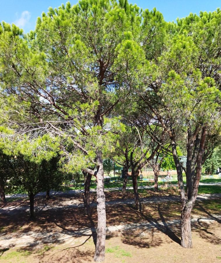 Appartamento Doppi Bagni Sei Posti Letto Viverone Buitenkant foto